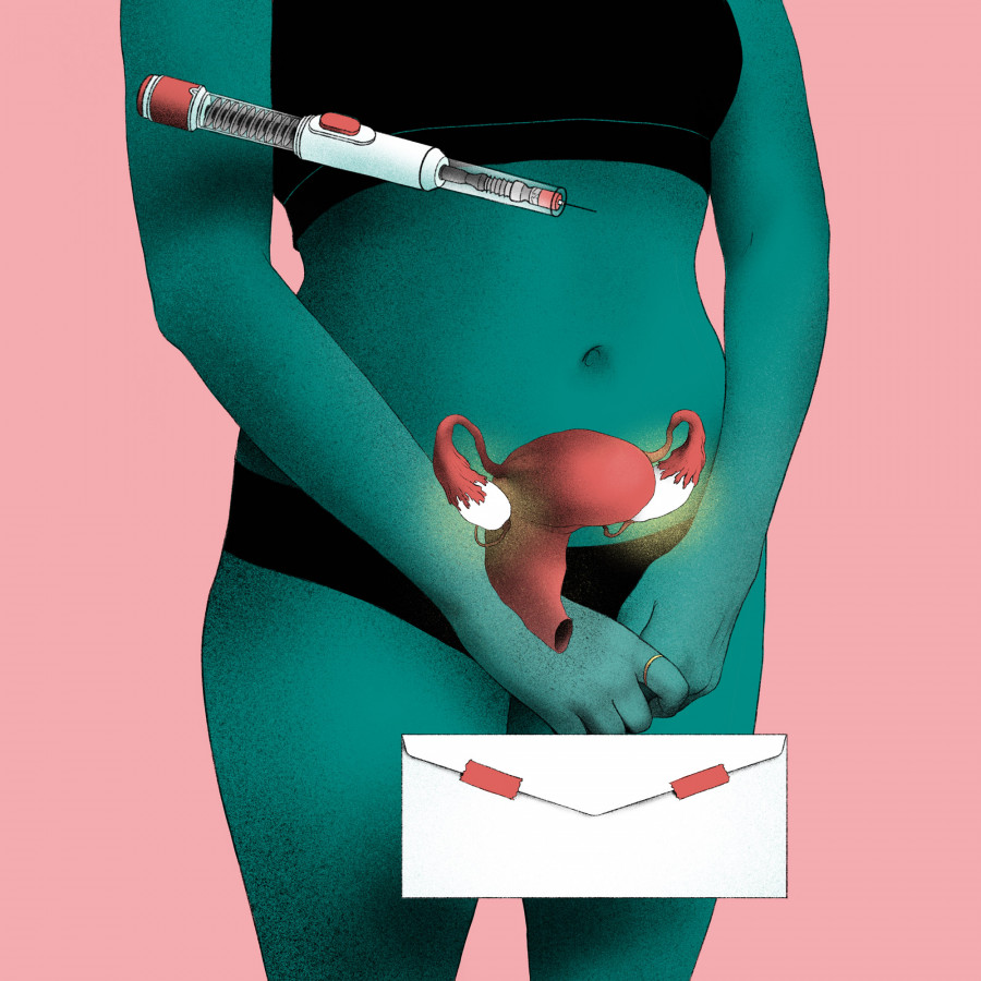 Egg Donation Industry